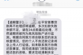 白沙为什么选择专业追讨公司来处理您的债务纠纷？